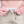 Olive Swim Shorts