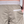 Olive Swim Shorts